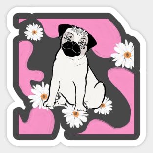 Daisy pug Sticker